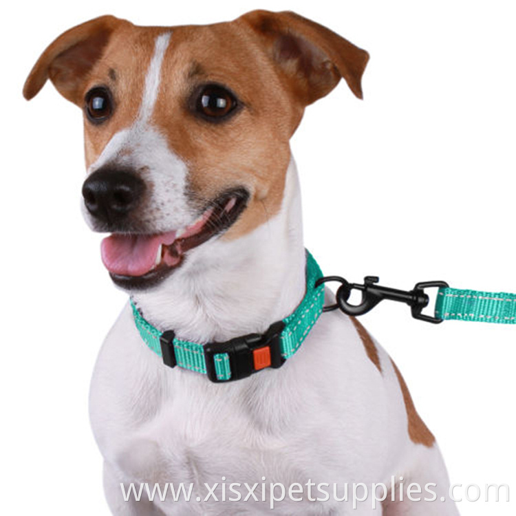 Reflective Safety Nylon Dog Collar for Dogs Puppy with custom size